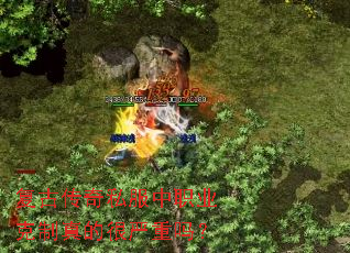 复古传奇私服中职业克制真的很严重吗? 复古传奇私服中职业克制真的很严重吗?