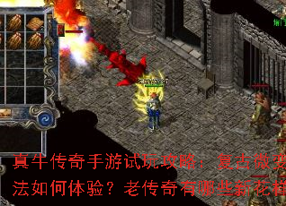 ţ湥ԣ΢淨飿ϴЩ»