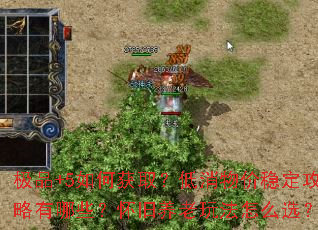 极品+5如何获取?低消物价稳定攻略有哪些?怀旧养老玩法怎么选? 极品+5如何获取?低消物价稳定攻略有哪些?怀旧养老玩法怎么选?