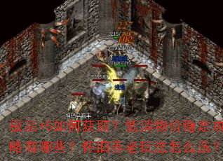 极品+5如何获取?低消物价稳定攻略有哪些?怀旧养老玩法怎么选? 极品+5如何获取?低消物价稳定攻略有哪些?怀旧养老玩法怎么选?