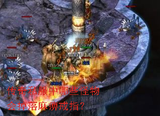 传奇私服中哪些怪物会掉落麻痹戒指? 传奇私服中哪些怪物会掉落麻痹戒指?