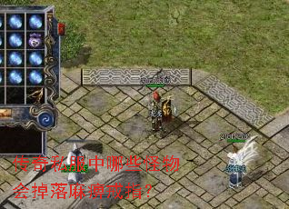 传奇私服中哪些怪物会掉落麻痹戒指? 传奇私服中哪些怪物会掉落麻痹戒指?