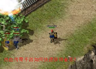 ��Ѫ����������ο��ٻ�ý�ң�