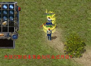 �콣��Ĭ�汾װ����κϳ�������