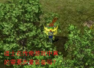 ��ʿ�ڴ�����Ϸ�������Ҫ����װ����