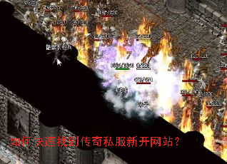 ��ο����ҵ�����˽���¿���վ��