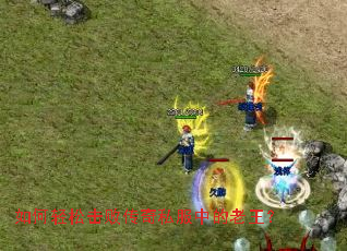 ������ɻ��ܴ���˽���е�������