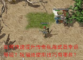 ��ο�����������˽���������˵ȼ���ף����ʹ�ü�������Щ��