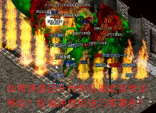 ��ο�����������˽���������˵ȼ���ף����ʹ�ü�������Щ��