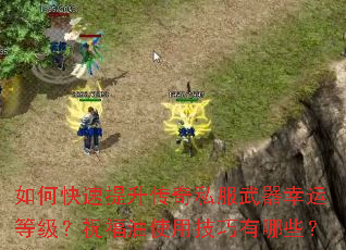 ��ο�����������˽���������˵ȼ���ף����ʹ�ü�������Щ��