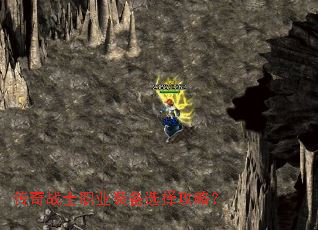 ����սʿְҵװ��ѡ���ԣ�