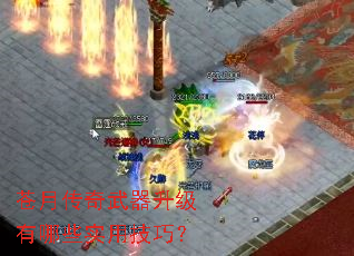 ���´���������������Щʵ�ü��ɣ�