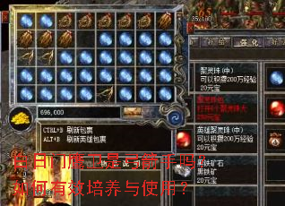 ������ӥ���ǹ������������Ч������ʹ�ã�