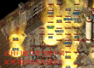 ������ӥ���ǹ������������Ч������ʹ�ã�