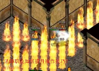 ��ʦְҵ��������������ɣ�