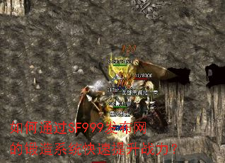 ���ͨ��SF999�������Ķ���ϵͳ��������ս����