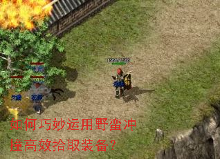 �����������Ұ����ײ��Чʰȡװ����