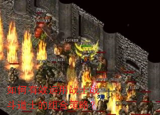 �����Ч����սʿս����ʿ����ϲ��ԣ�