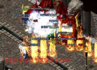 ��Ĺ���»�Աר��̽��ȫ���ԣ�