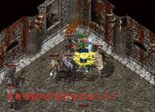 ����������������ɫս������