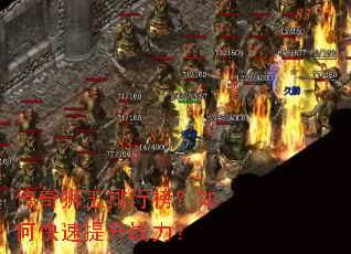 ����ʨ�����а���ο�������ս����