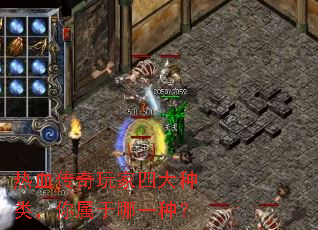 ��Ѫ��������Ĵ����࣬��������һ�֣�