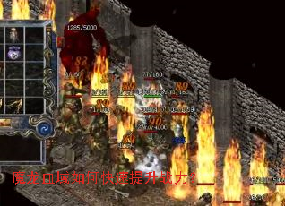 ħ��Ѫ����ο�������ս����