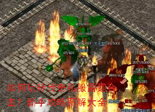 �����ת����˽�������ϻ������ֹ���ͼ���ȫ