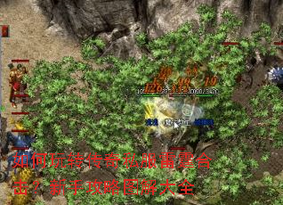 �����ת����˽�������ϻ������ֹ���ͼ���ȫ