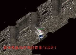 ϡ��װ����θ�Ч�ռ���������