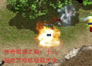 传奇微端之巅:十八般武艺修炼秘籍大全 传奇微端之巅:十八般武艺修炼秘籍大全