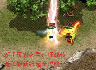 新手玩家必看:征战传奇私服新服超全攻略 新手玩家必看:征战传奇私服新服超全攻略