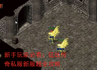 新手玩家必看:征战传奇私服新服超全攻略 新手玩家必看:征战传奇私服新服超全攻略