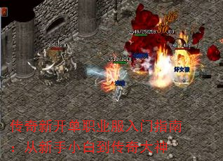 传奇新开单职业服入门指南:从新手小白到传奇大神 传奇新开单职业服入门指南:从新手小白到传奇大神