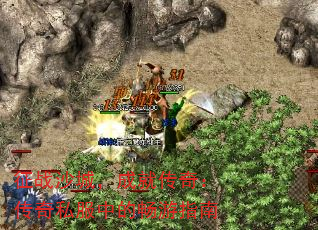 征战沙城,成就传奇:传奇私服中的畅游指南 征战沙城,成就传奇:传奇私服中的畅游指南