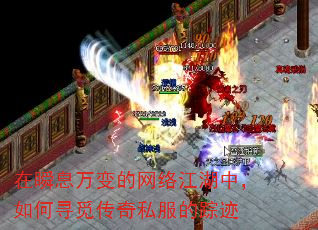 在瞬息万变的网络江湖中,如何寻觅<a href=