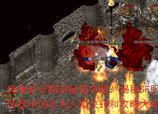 传奇新开网游秘籍宝藏:揭秘SF服务器中的不为人知诀窍和攻略大全 传奇新开网游秘籍宝藏:揭秘SF服务器中的不为人知诀窍和攻略大全