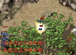 探索玛法大陆传奇,私服征途攻略全解 探索玛法大陆传奇,私服征途攻略全解