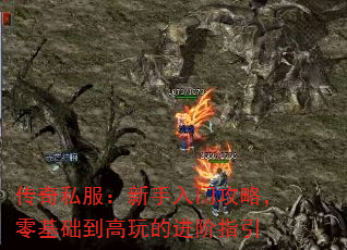 传奇私服:新手入门攻略,零基础到高玩的进阶指引 传奇私服:新手入门攻略,零基础到高玩的进阶指引