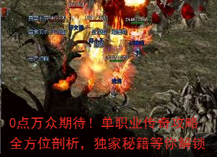 0点万众期待!单职业传奇攻略全方位剖析,独家秘籍等你解锁 0点万众期待!单职业传奇攻略全方位剖析,独家秘籍等你解锁