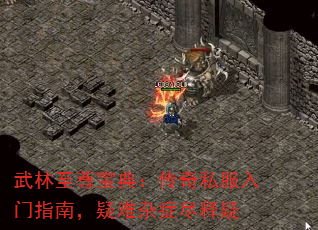 武林至尊宝典:<a href=