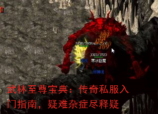 武林至尊宝典:传奇私服入门指南,疑难杂症尽释疑 武林至尊宝典:传奇私服入门指南,疑难杂症尽释疑