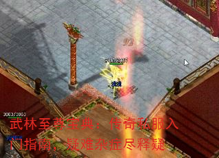 武林至尊宝典:传奇私服入门指南,疑难杂症尽释疑 武林至尊宝典:传奇私服入门指南,疑难杂症尽释疑