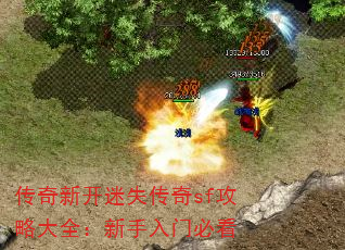 传奇新开迷失传奇sf攻略大全:新手入门必看 传奇新开迷失传奇sf攻略大全:新手入门必看