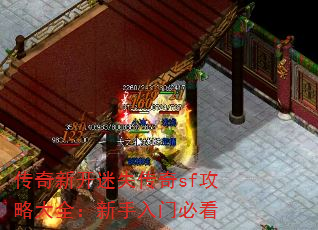 传奇新开迷失传奇sf攻略大全:新手入门必看 传奇新开迷失传奇sf攻略大全:新手入门必看