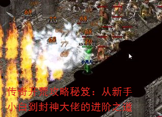 传奇开荒攻略秘笈:从新手小白到封神大佬的进阶之道 传奇开荒攻略秘笈:从新手小白到封神大佬的进阶之道