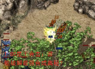 1.80星王合击:谁能破解最强合成奥秘? 1.80星王合击:谁能破解最强合成奥秘?