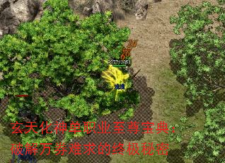 玄天化神单职业至尊宝典:破解万券难求的终极秘密 玄天化神单职业至尊宝典:破解万券难求的终极秘密