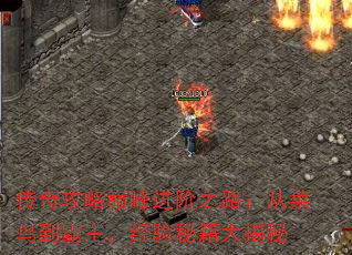 传奇攻略巅峰进阶之路:从菜鸟到霸主,经验秘籍大揭秘 传奇攻略巅峰进阶之路:从菜鸟到霸主,经验秘籍大揭秘