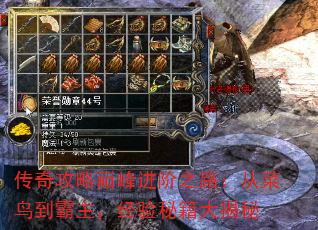 传奇攻略巅峰进阶之路:从菜鸟到霸主,经验秘籍大揭秘 传奇攻略巅峰进阶之路:从菜鸟到霸主,经验秘籍大揭秘